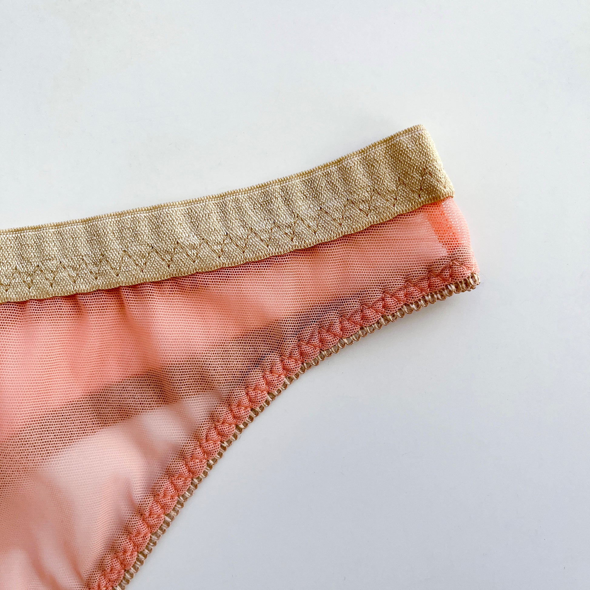 Shimmering mesh thongs – Apricat LLC
